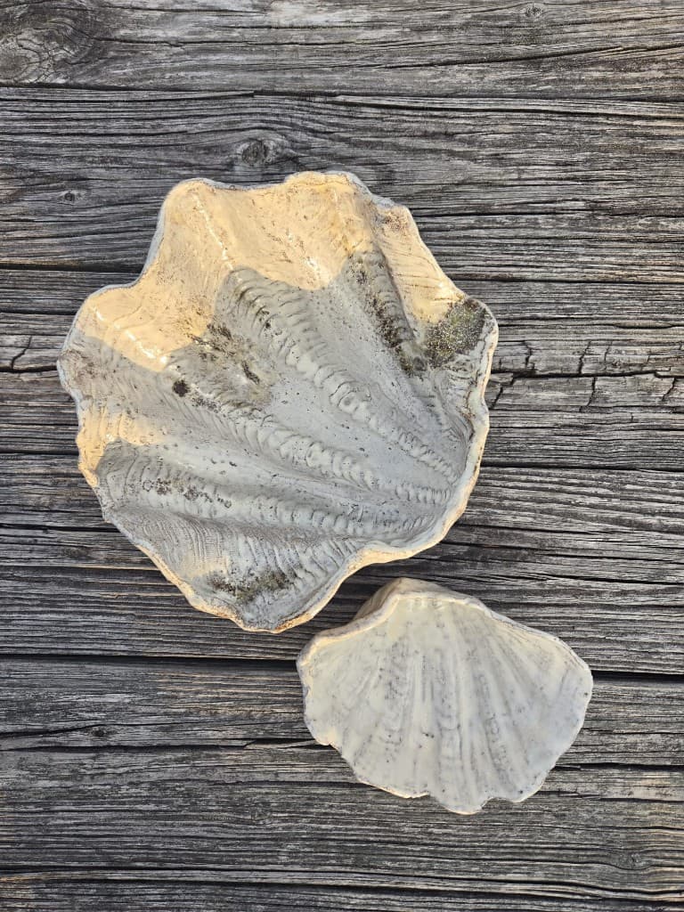 Two hand-formed shell ceramics, each with its own character