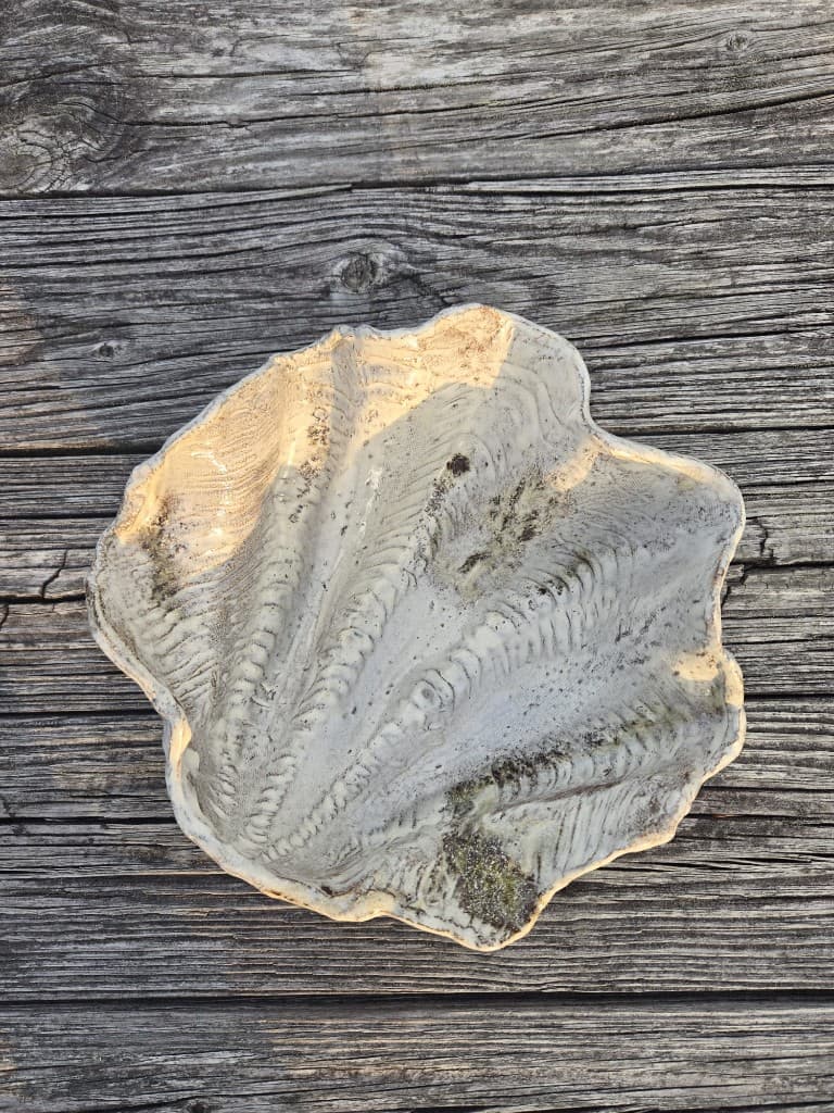 Hand-formed shell ceramic with ridged glaze on weathered wood